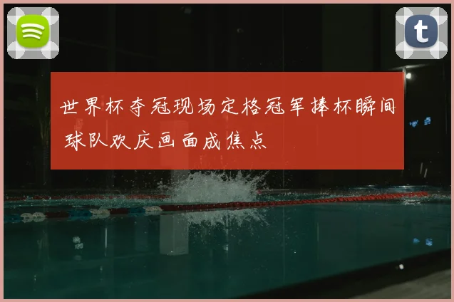 世界杯夺冠现场定格冠军捧杯瞬间 球队欢庆画面成焦点