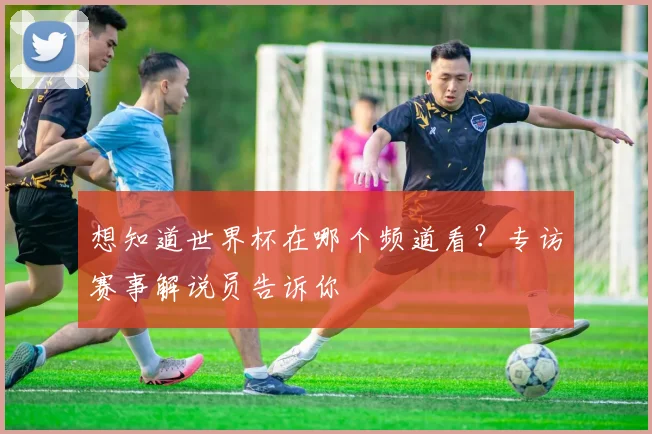 想知道世界杯在哪个频道看？专访赛事解说员告诉你